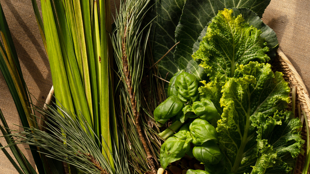 Melixir's Microbiome-Friendly Skincare