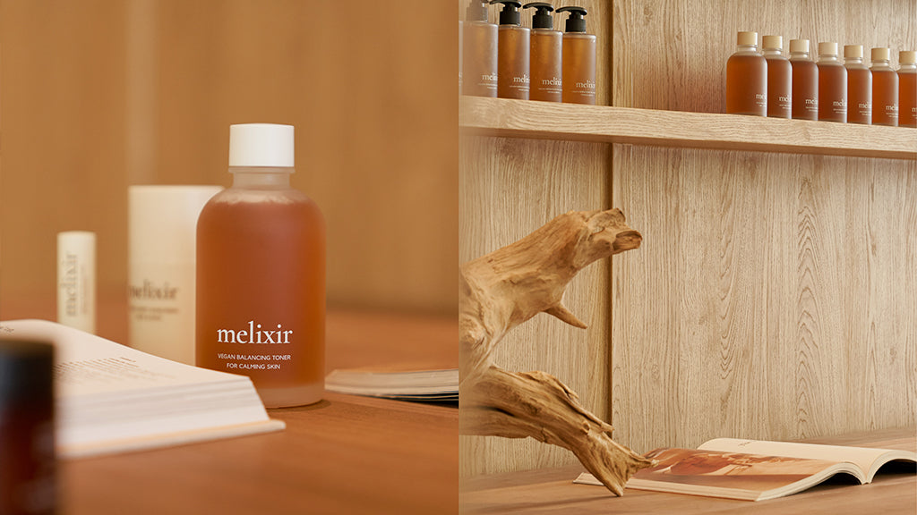 B Corp Certification: A Recognition of Melixir's Social and Environmental Performance