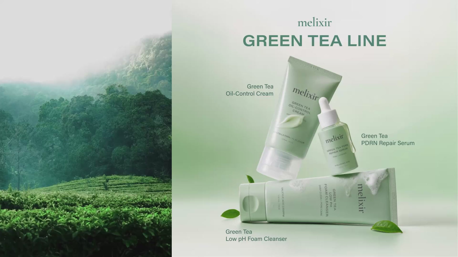 Green Tea Line brand video